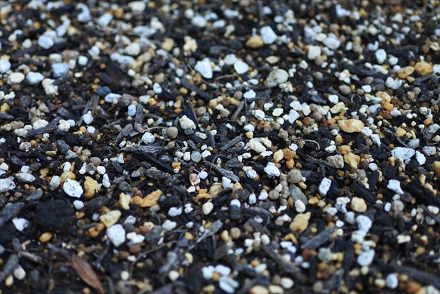 培養土 ガーデニング 花壇 小石