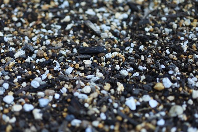 培養土 プランター ガーデニング 園芸