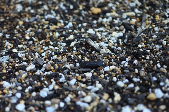 ガーデニング 土 プランター 花壇 小石 白 黒 茶色