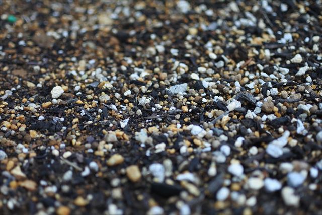 土 白 茶 黒 小石