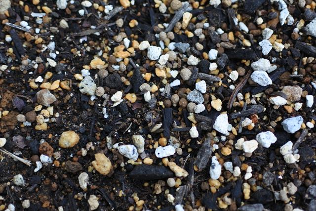 土 地面 ガーデニング 花壇