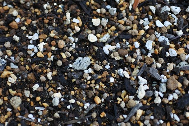 土 小石 花壇