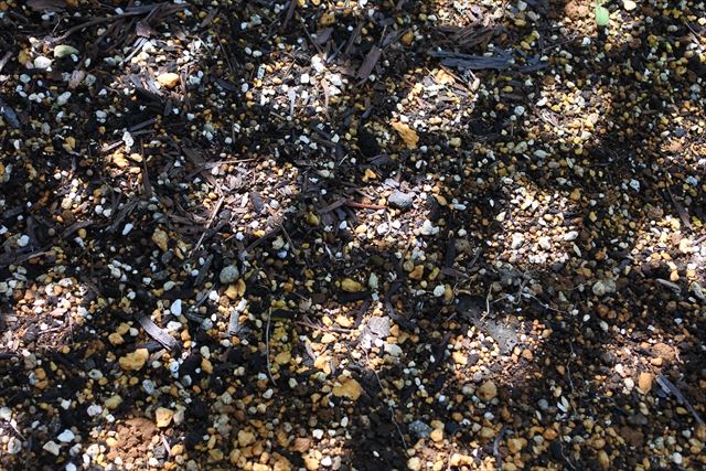 格子 光 地面 土