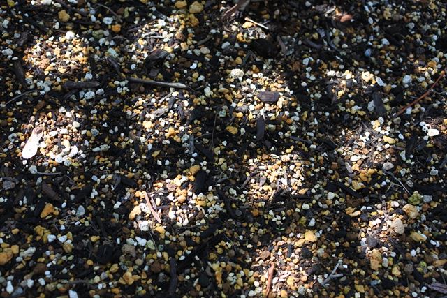 花壇 土 光 格子 小石 陽射し