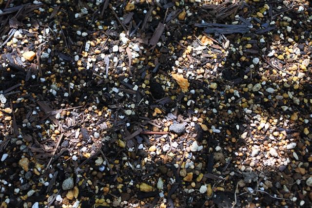 木漏れ日 土 小石 地面