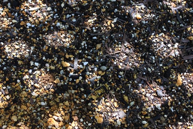 格子 土 光 花壇 小石