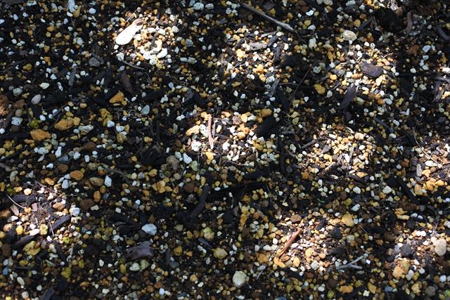 花壇 土 小さい石 日差し