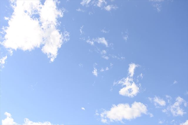 本日は晴天です。