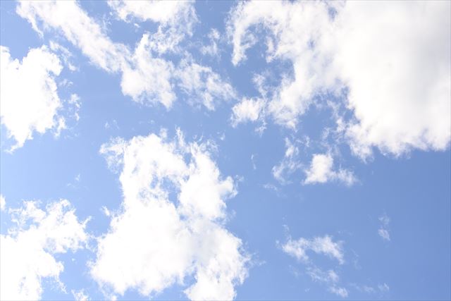 まばゆい光。いい天気。