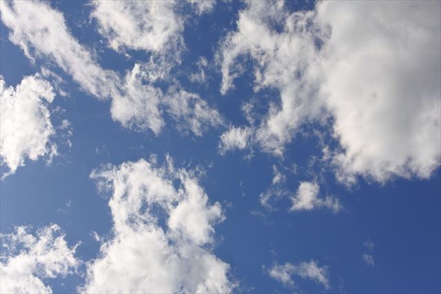 いいお天気です