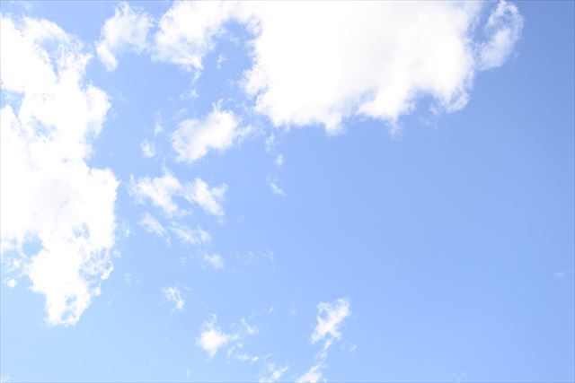 陽ざしが強いです。まぶしいです