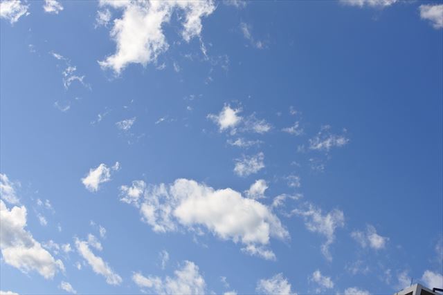 今日もいいお天気です