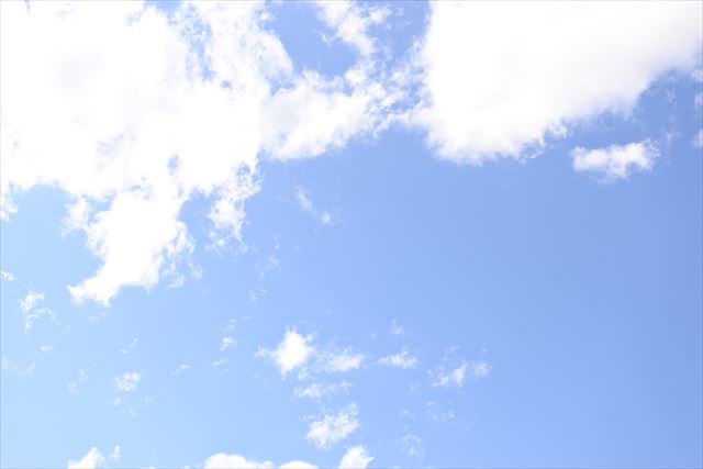 いいお天気です