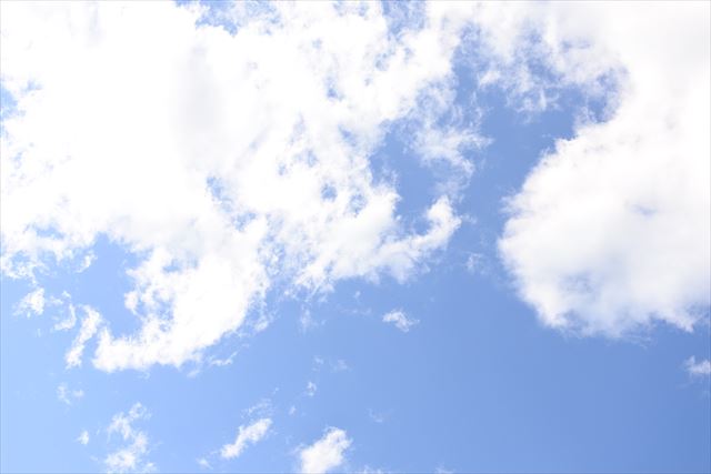 天気は快晴。今日はどこへ行こうかな