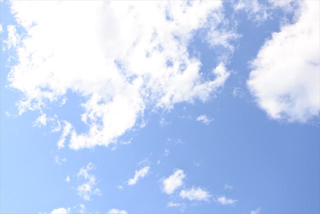 お天気がいいと気持ちまでハレバレ