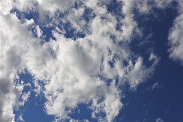 雲が出てきたな。ひと雨くるかな。
