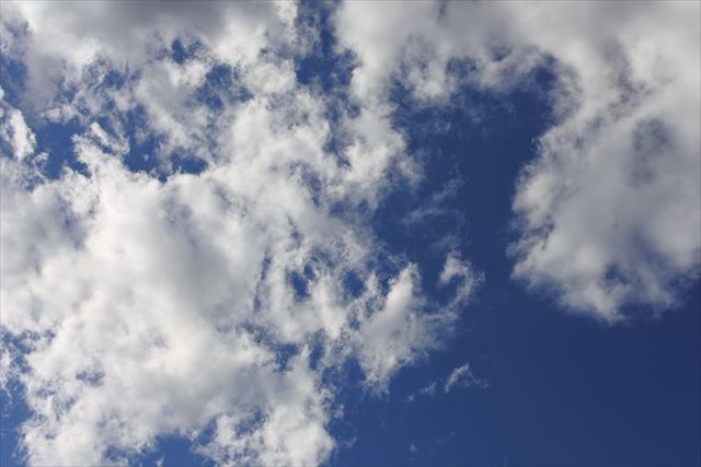 まっさおな空です。真っ白な雲です