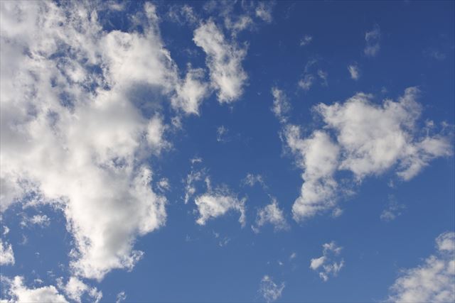 きれいな空。思わず写真に撮りました