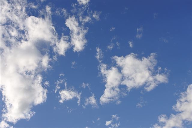 今日はとてもいい天気になりました