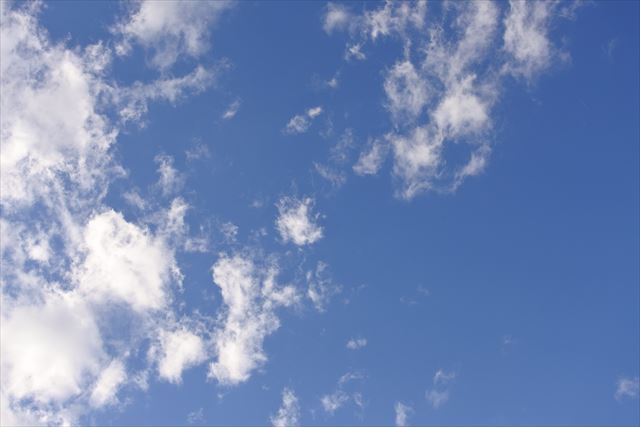 よく晴れています！