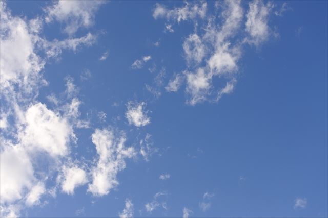 よく晴れています。いい１日になりそうです