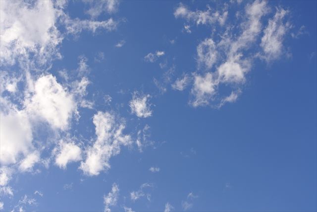 気持ちよく晴れています。