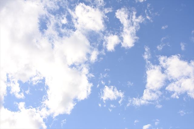 今日はいいお天気です