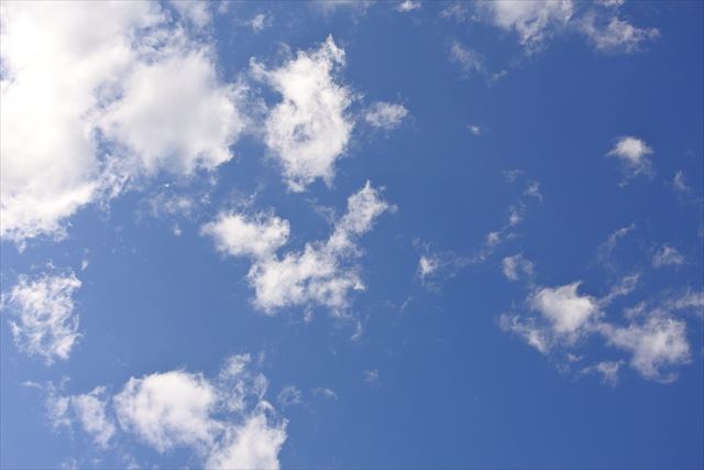 今日はいいお天気。晴れてます