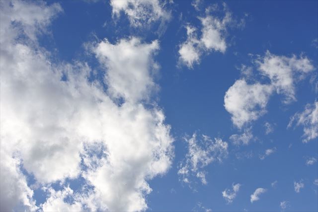 今日は晴れています