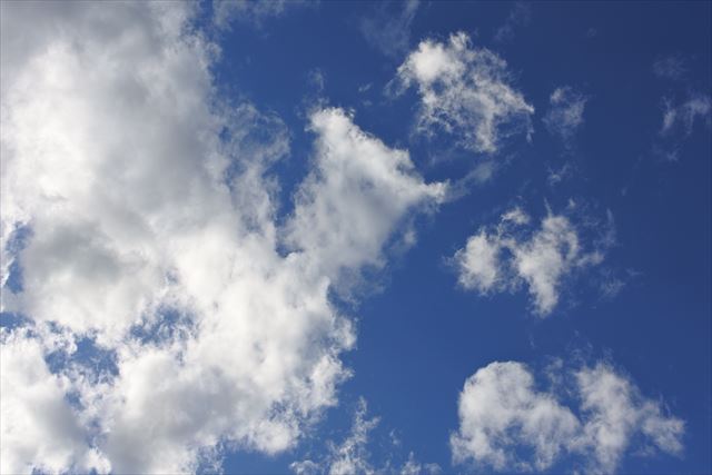 今日は雲が多いお天気です