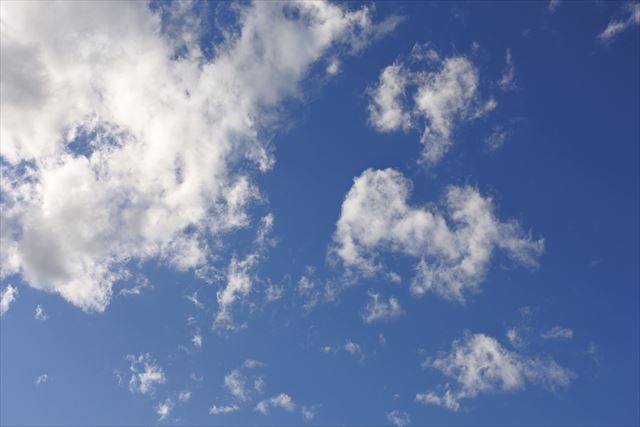 青空がきれい。今日もいい天気