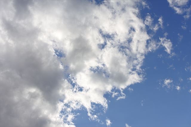 黒い雲が湧いてきた。ひと雨くるかな