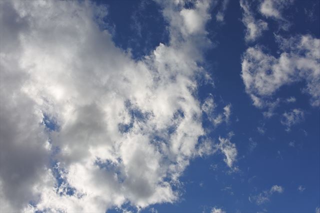 今日の空はまっさお。黒い雲も湧いてきました