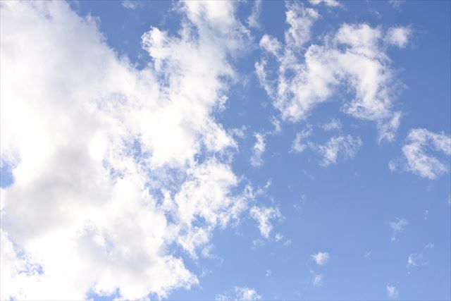 今日もいいお天気です