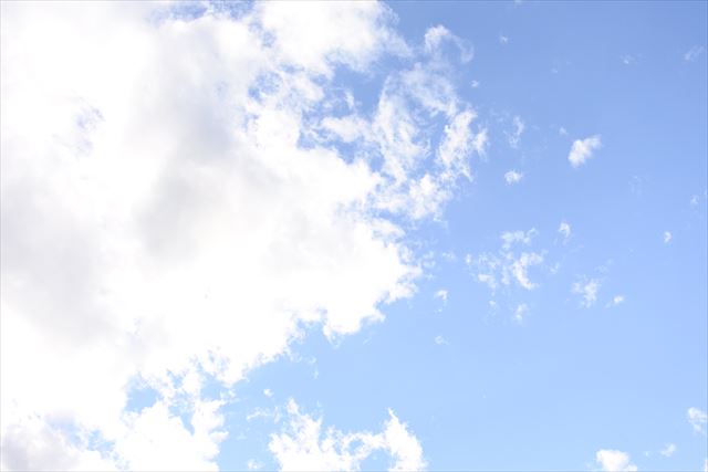 太陽の光。まぶしい