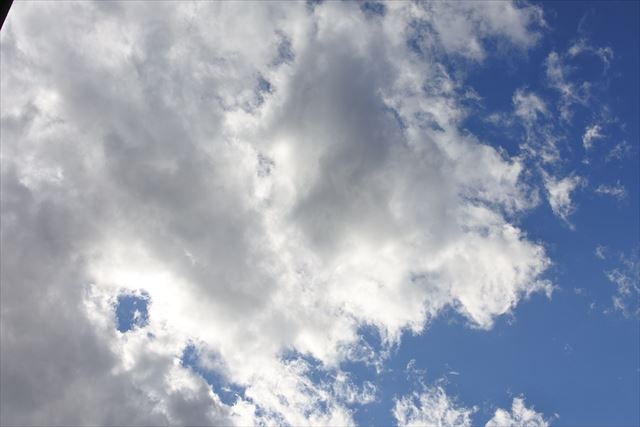 今日の空。青と白