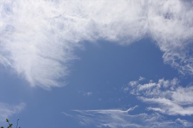 いいお天気です