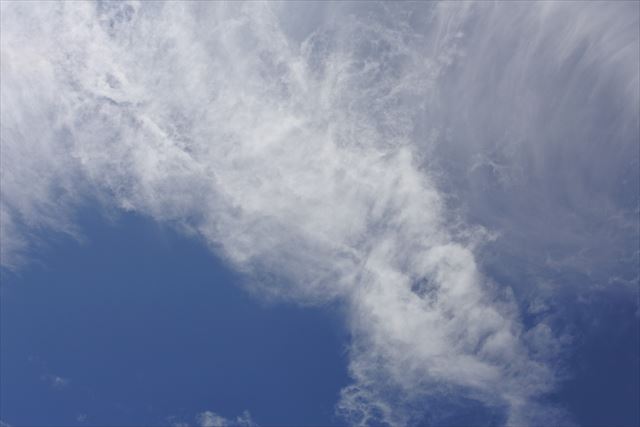 真夏の空。テンションあがるな。