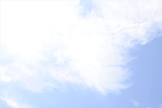 夏の陽ざしは強いな