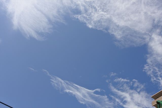 自由に外に出られる幸せ。空を見上げられる喜び