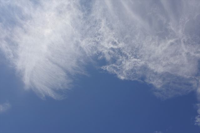 いい天気。幸せ。