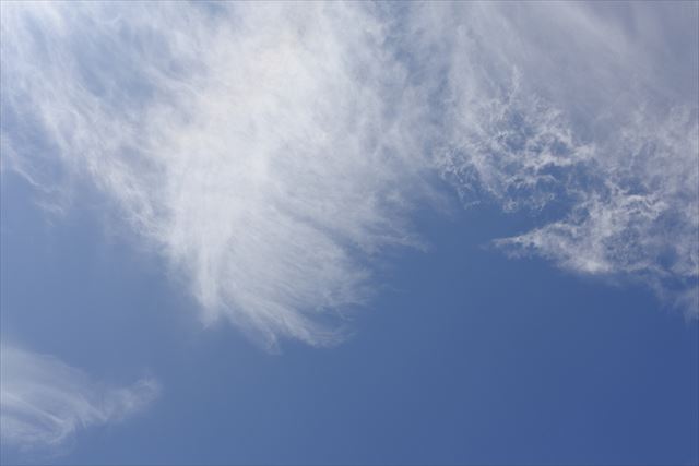 庭で撮った青空