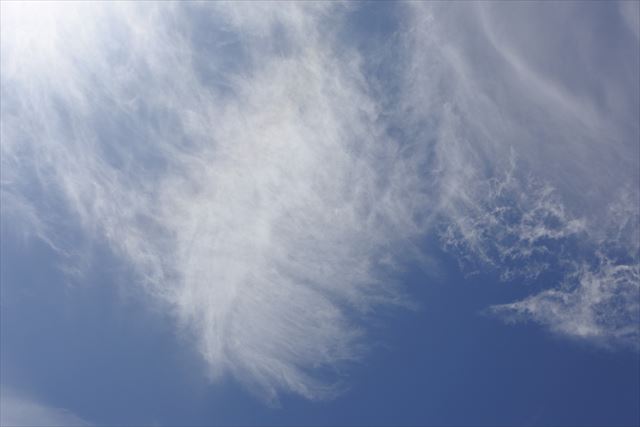 白い雲。うっとり。