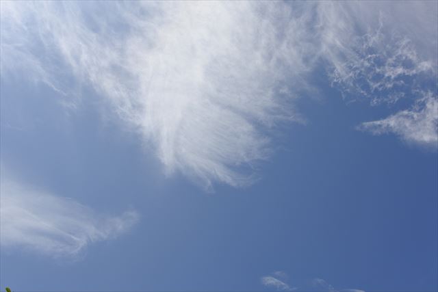 天気予報があたりました