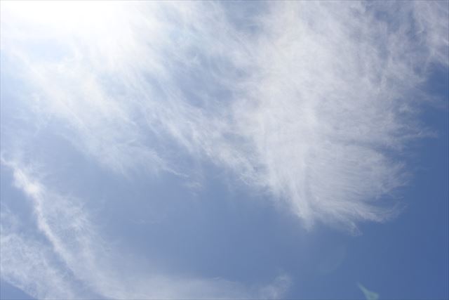 よいお天気になりました