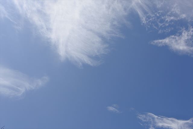 青い空が広がっています