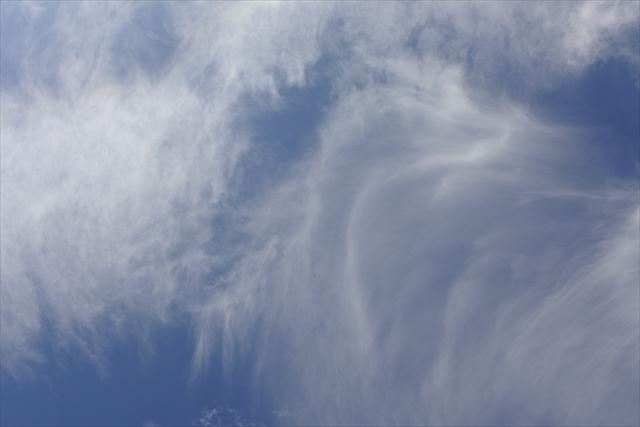 うれしいな。いい天気でうれしいな