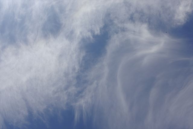 いいお天気になりました