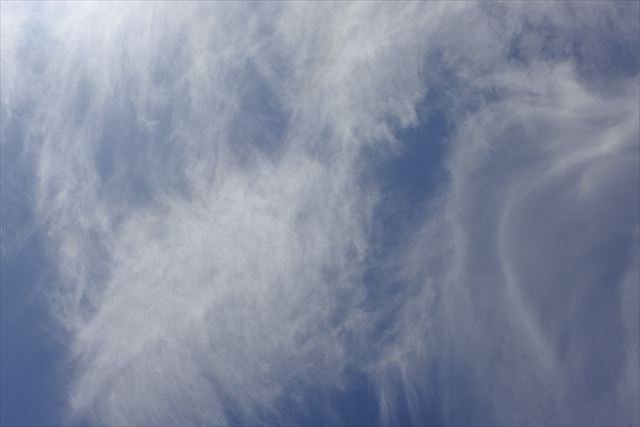 庭に寝っ転がって空を見上げていました