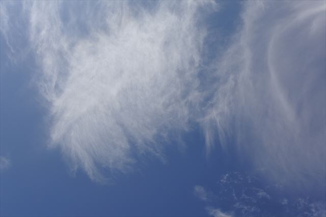 空をながめるのが好き。